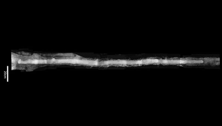 Снимок, меч, кринок, рентген