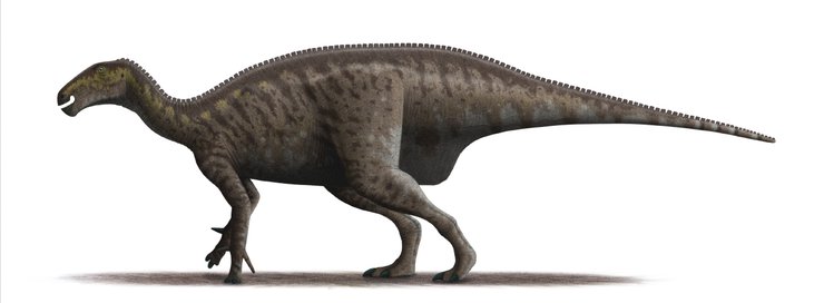 Динозавр Mantellisaurus