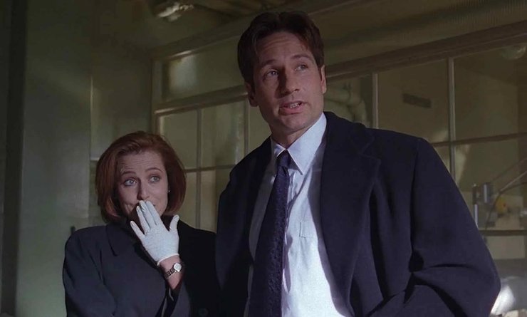 Джиллиан Андерсон, секретные материалы, Дэвид Духовны