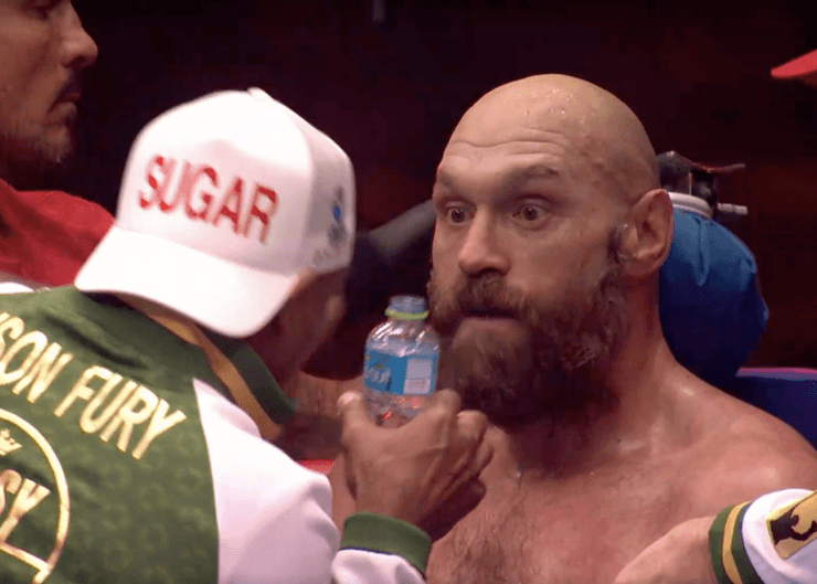 Усик — Фьюри реванш