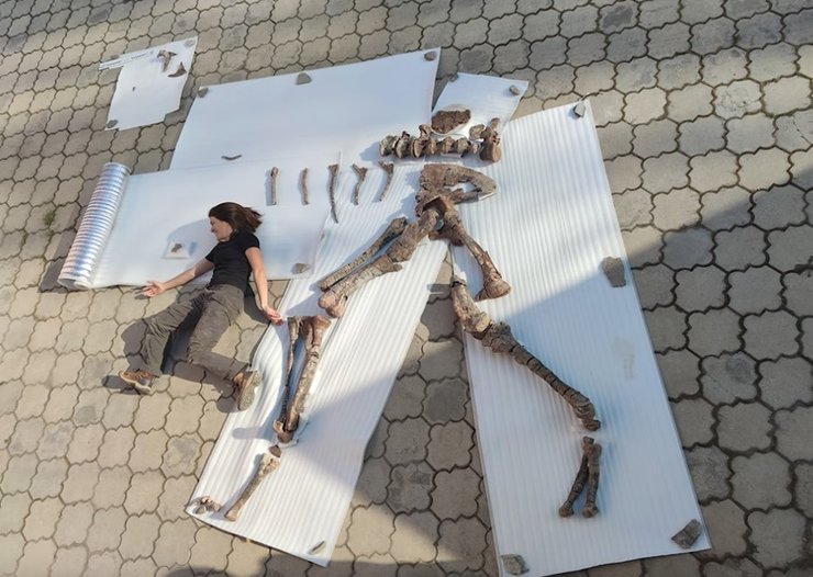 динозавр Alpkarakush kyrgyzicus