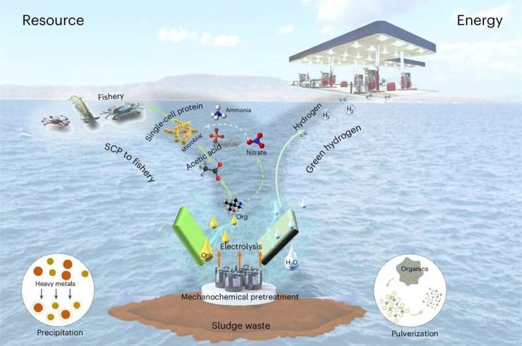 Производство водорода, топливо, корм, переработка, сточные воды, фото