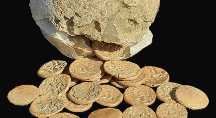 Пенсионер нашел редкие монеты, редкие монеты, кельтские монеты, клад, кельтский клад, историческая ценность, могут дорого стоить