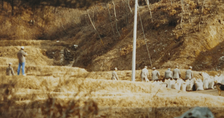 В'язні табору на роботі