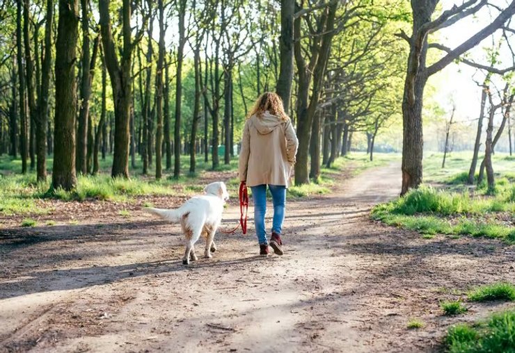 Infrastruktura i prywatność to akcenty, które kupujący postawią również w 2025 roku