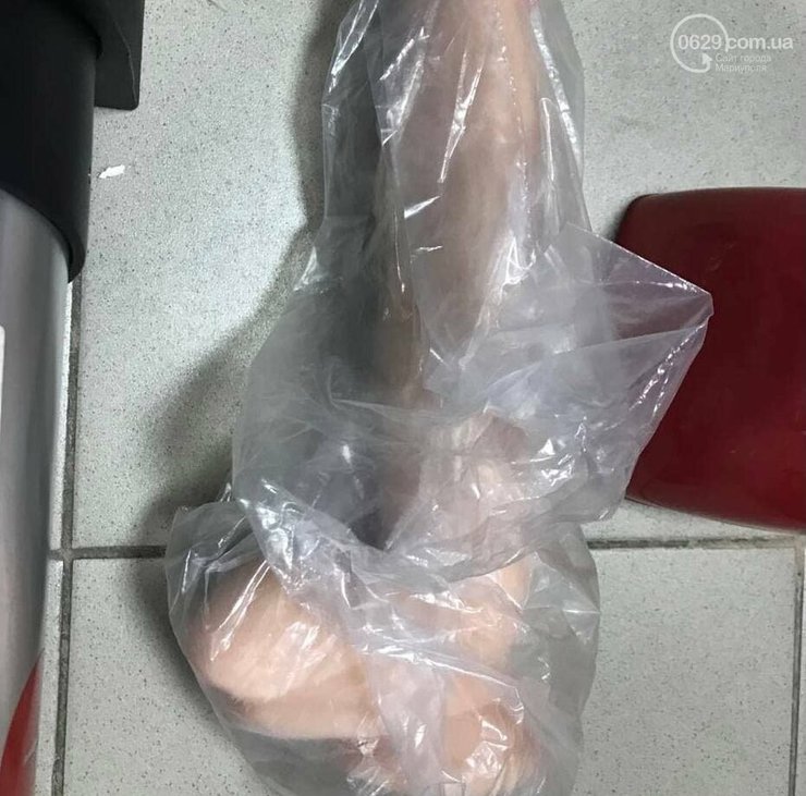 Партия Шария