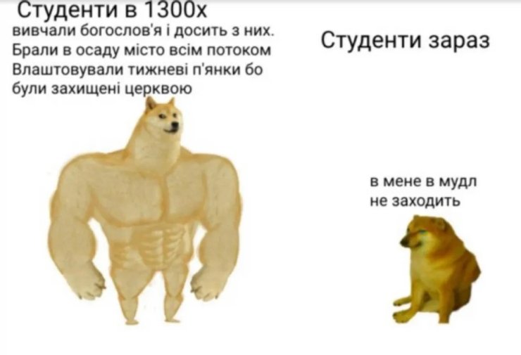 мем, Доге, Чимс