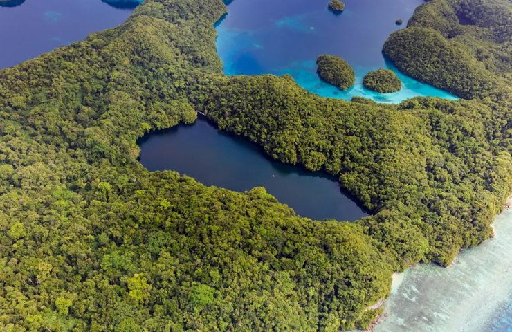 озеро медузы