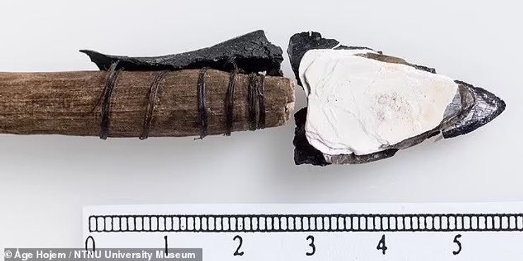 стріли дерево, лінійка, фото