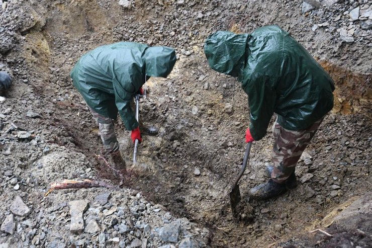 ексгумація