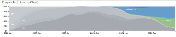 коронавирус, индийский штамм, дельта-штамм, мутации коронавируса