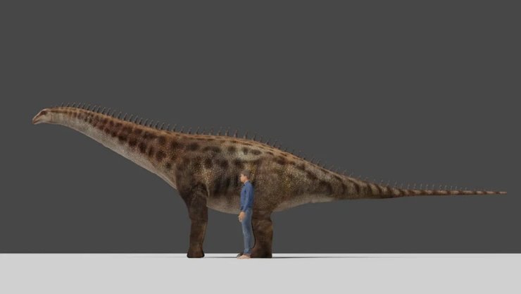 окаменелости, динозавры, китайский ресторан, завропод, следы динозавров, необычные следы, раскопки, исследования, растительноядные динозавры