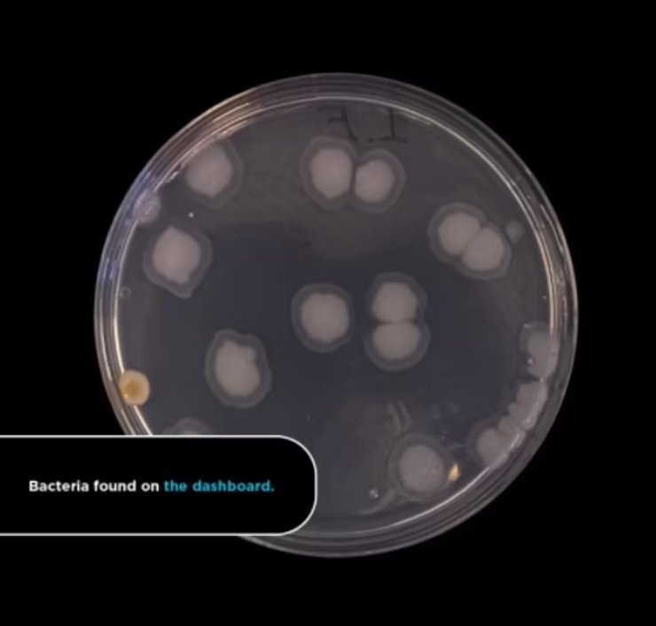 бактерии, автомобиль, приборная доска