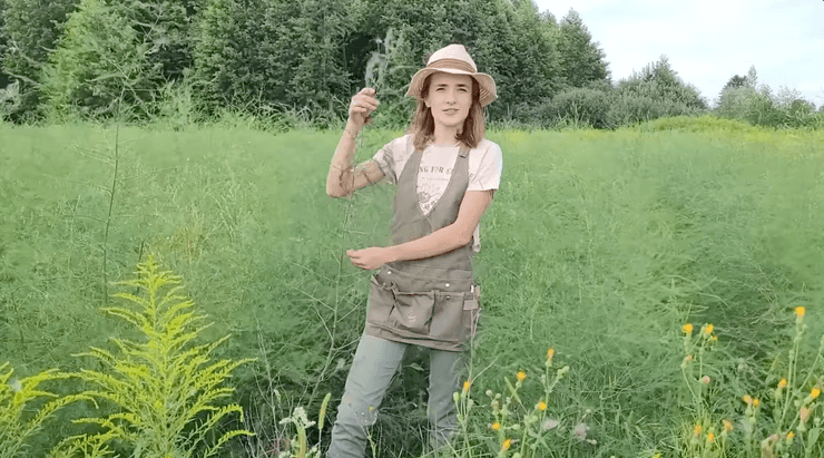 пара переїхала в село 3 спаржа