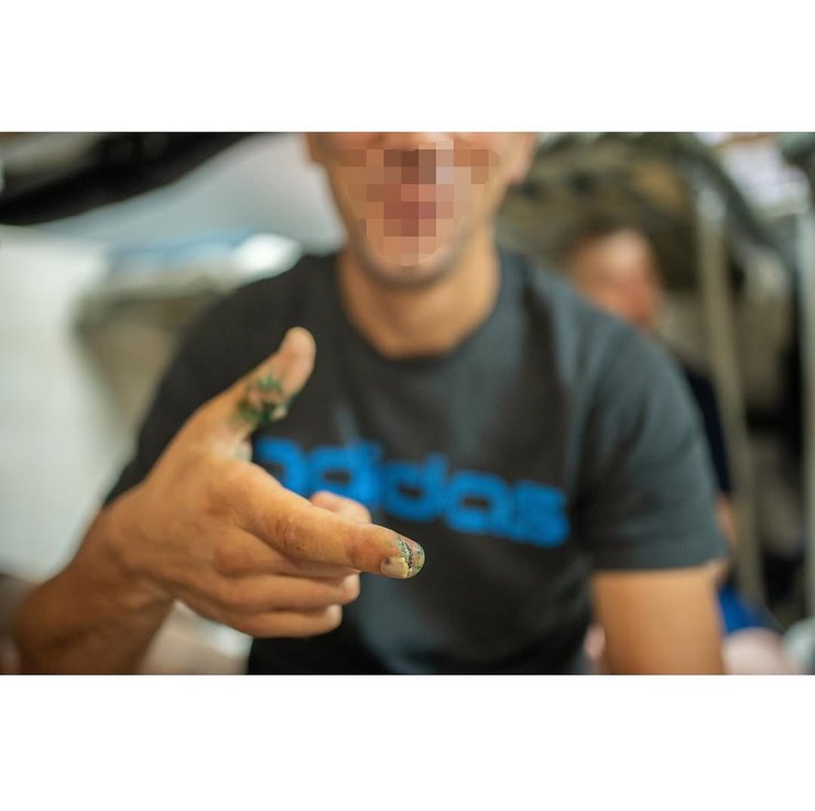 Джером Старки, журналист война , военнопленные рф