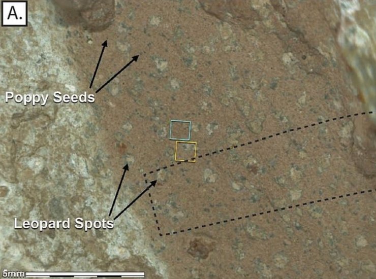 марс, життя на марсі