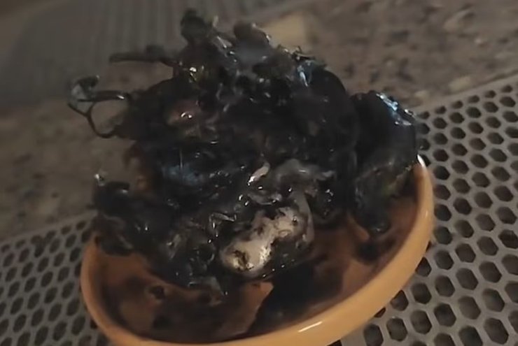 організм щупальця метеорит