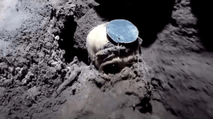 череп, земля, фото