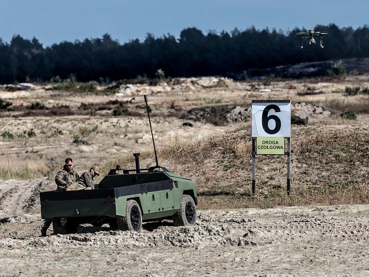 учения "Железный защитник 25", союзники НАТО, Вооруженные силы Польши