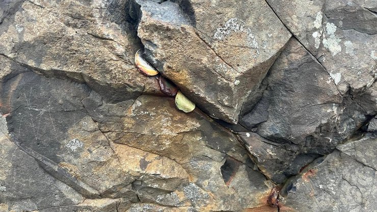 дорога гигантов, северная ирландия, туристы