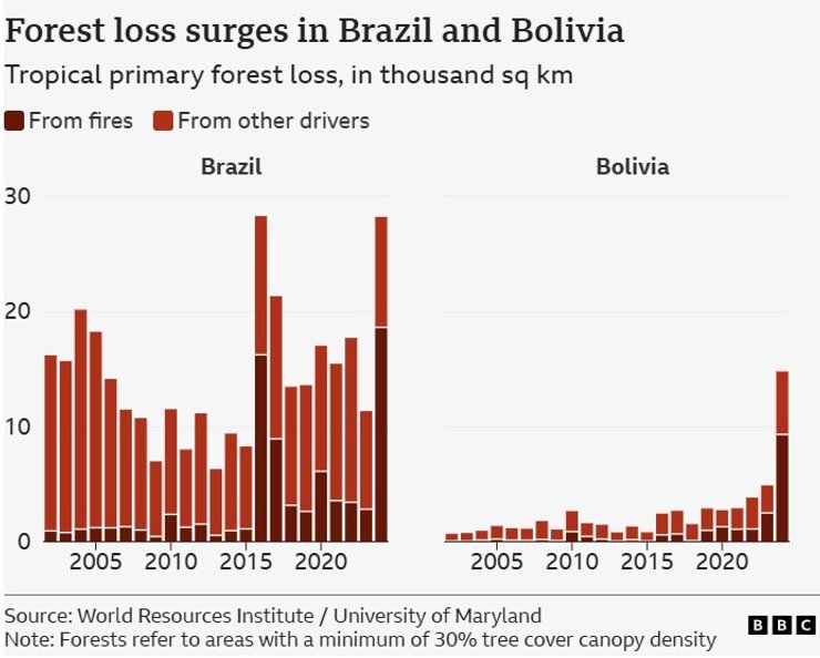 потеря тропических лесов