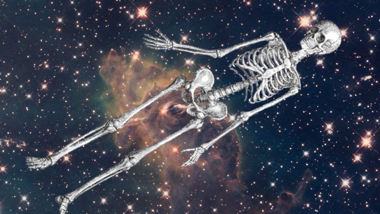 скелет, космос, фото