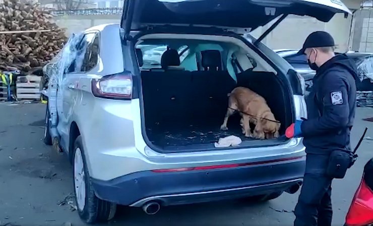 авто зі США, авто зі США, авто зі США в Україні, биток зі США