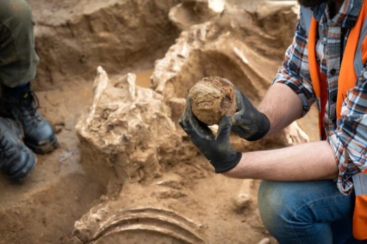 кости битва при ватерлоо