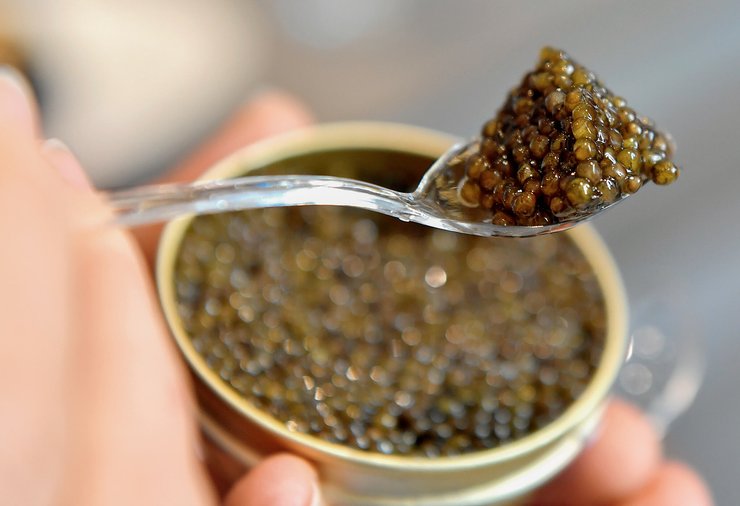 черная икра, как выбрать икру, икра к праздничному столу, икра на новый год,