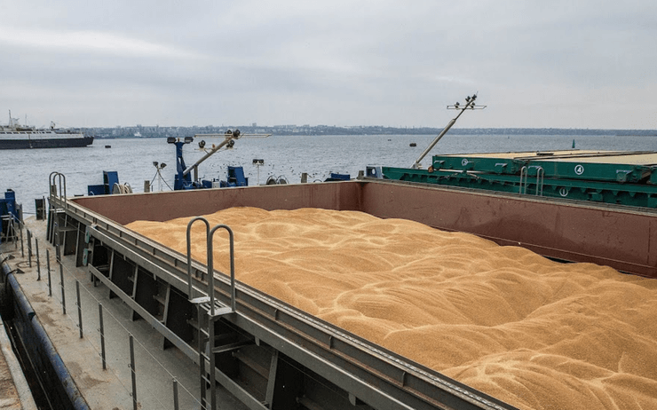 вывоз зерна, зерно, зерновая сделка, зерно из украины