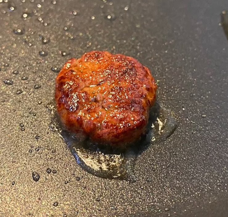 плесень, котлета, мясо