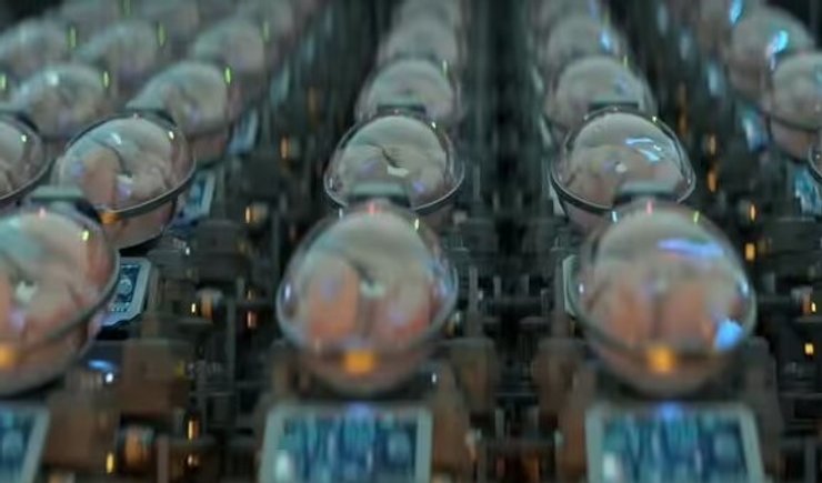 капсула для рождения детей