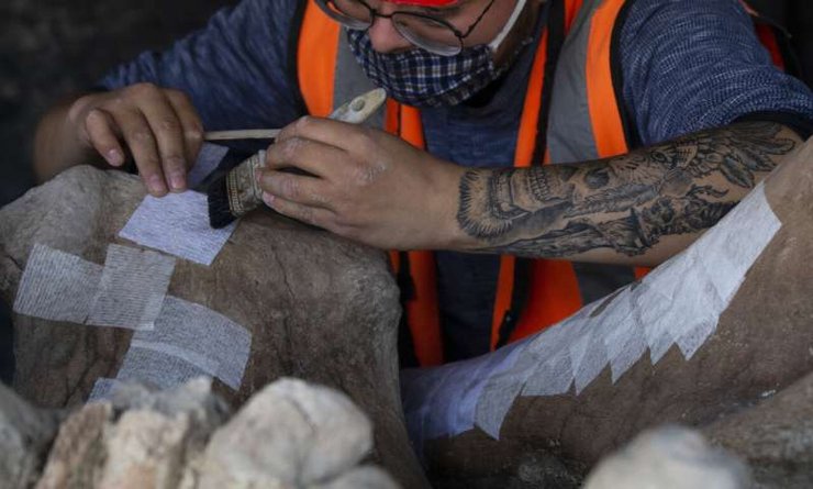 мамонты, Мехико