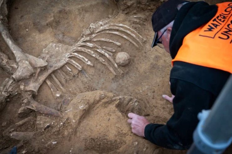 кости битва при ватерлоо