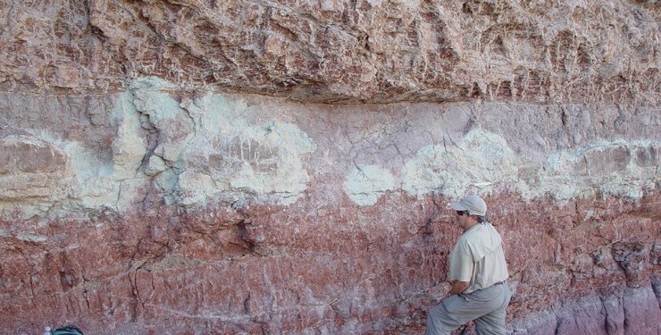 динозавры, древние животные, хищники, палеонтология, открытия, открытия о динозаврах за 2023 год, исследования, останки, древние хищники