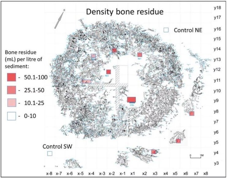 Россия, кости мамонтов, строение