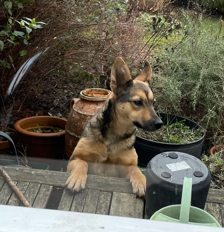 Софи продолжала процесс адаптации