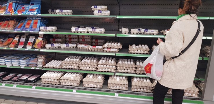 яйца, куриные яйца, магазин, экономика Украины, Украина бюджет 2023, как Украина начинает 2023 год, бизнес в Украине, зарплаты в Украине, спад экономики в Украине, Украина экономический прогноз, курс гривны, Украина курс валют