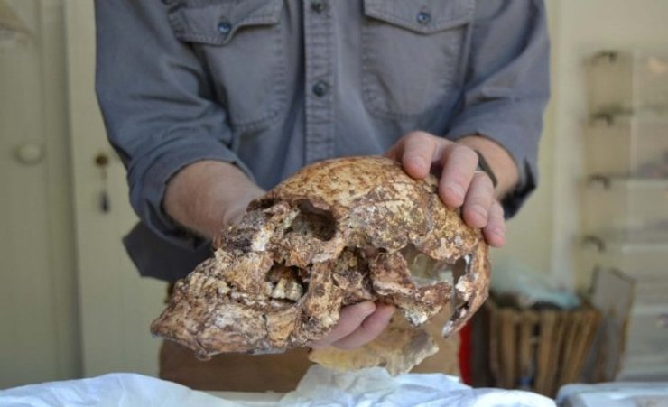 археологи, археология, раскопки, битва, скелет, останки, империя, Сарды, кости, солдат, шлем, камень, воин, укрепление, город, Турция, завоевание, персы, оружие, монеты, исследования