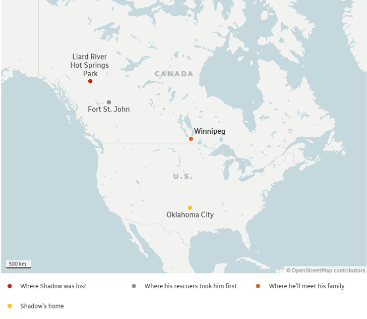 Карта маршрута потерявшегося кота Шэдоу, который вскоре воссоединится со своей семьей