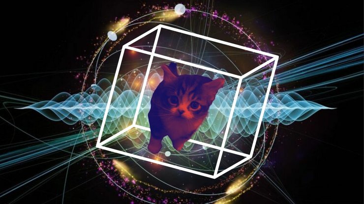 кот шредингера