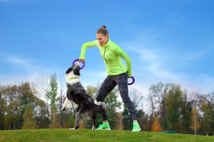 CLUB 4 PAWS ПРЕМІУМ «АКТИВ». ПОВНОРАЦІОННИЙ СУХИЙ КОРМ ДЛЯ АКТИВНИХ СОБАК