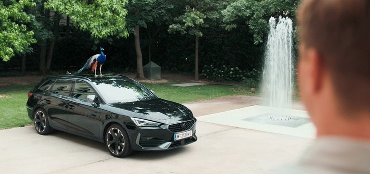 павлин фильм