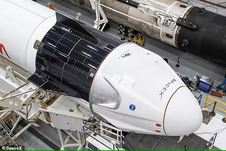 SpaceX, космический мусор, илон маск, австралийский фермер, космический корабль