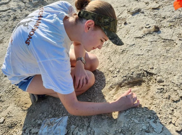 Череп древнего кита обнаружили на ферме в Алабаме