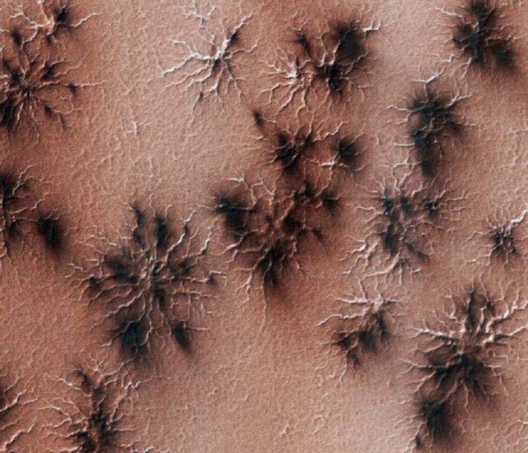 павуки Марс