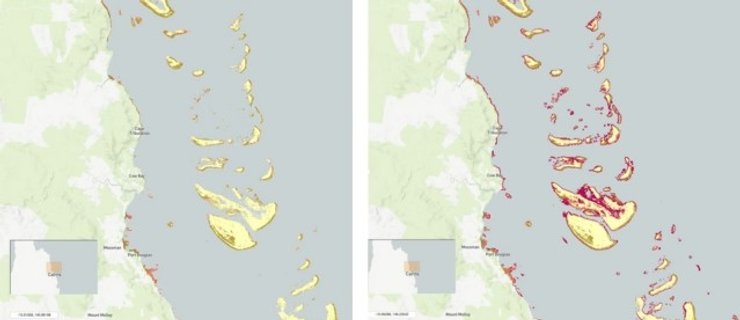 коралловый риф карта детали