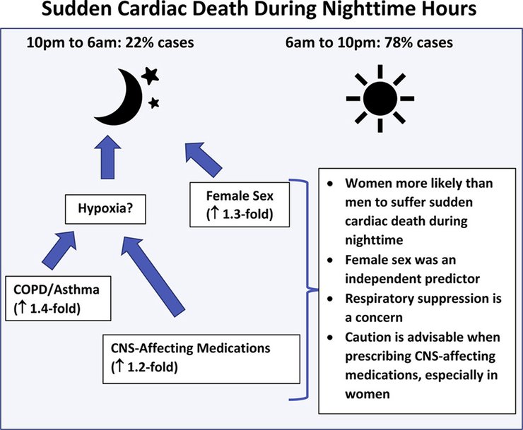 внезапная остановка сердца, исследование, инфографика, причины, статика, гендер