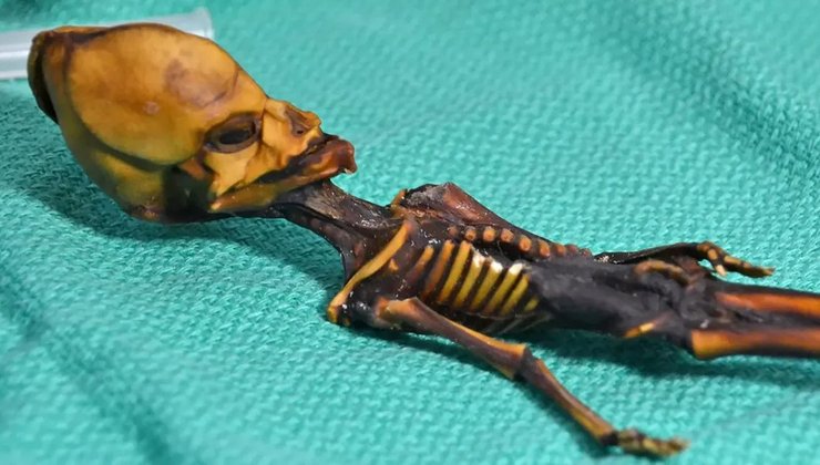 Гуманоид Атакамы