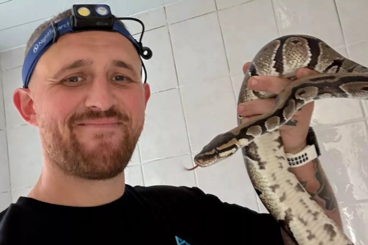 Попытки самостоятельно поймать змею могут быть опасными